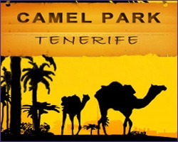 camel-park-tenerife.jpg