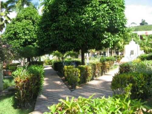 Parque Central de Arona 1.jpg